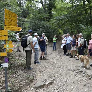 Auf der Entdeckung des Monte San Giorgio und seiner Geologie