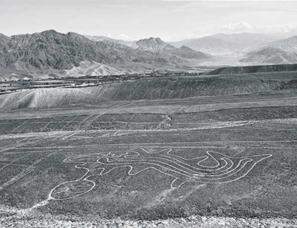 nasca