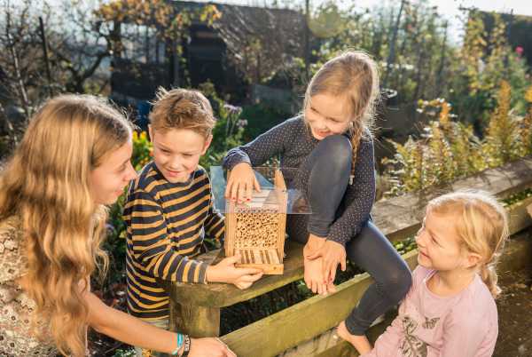 bienen patenschaft