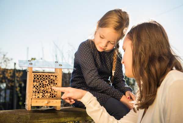 bienen patenschaft