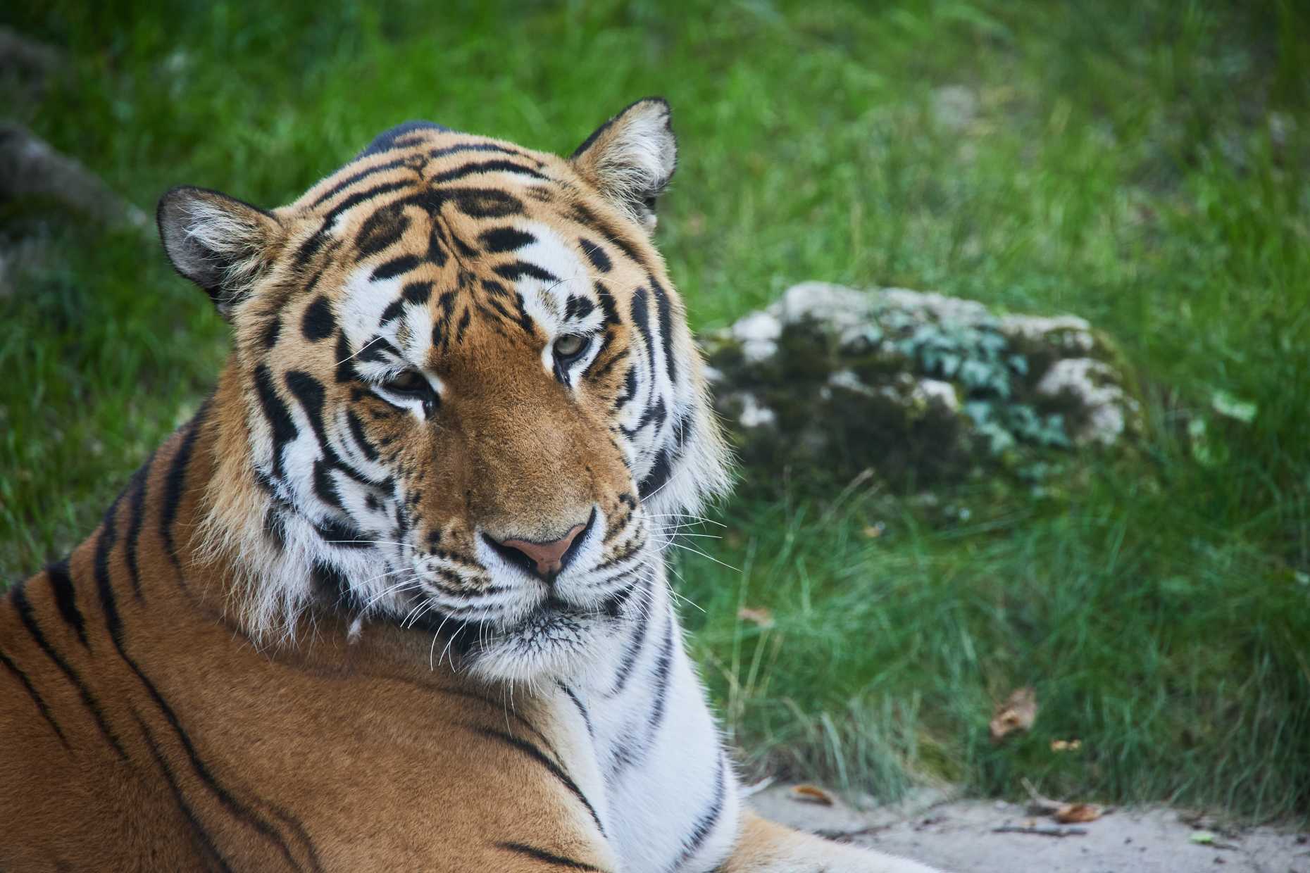 Zoo Zürich