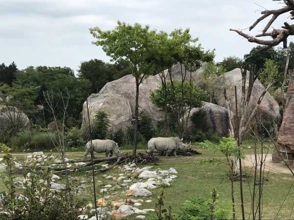 Zoo Zürich